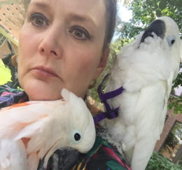 Add your one line caption using the Image tab of the Web Properties dialog