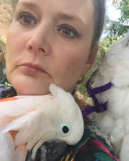 Add your one line caption using the Image tab of the Web Properties dialog